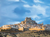 Morella